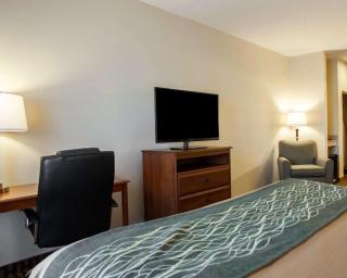 Comfort Inn & Suites Harrisonville - Harrisonville - 2