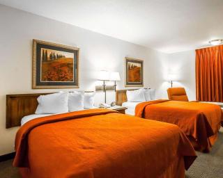 Quality Inn & Suites North - Springfield - 6