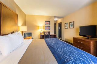 Comfort Inn - Tupelo - 2