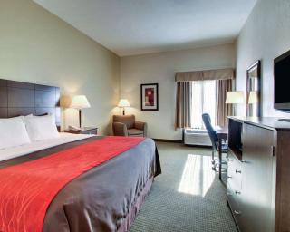 Comfort Inn Moss Point Pascagoula - Moss Point - 7