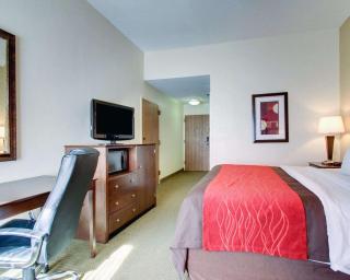 Comfort Inn Moss Point Pascagoula - Moss Point - 4