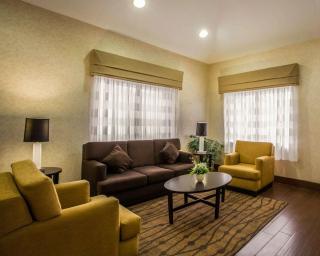 Sleep Inn Asheville - Biltmore West - Asheville - 4