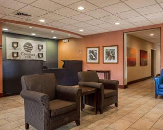 Comfort Inn & Suites Lumberton Central I-95 - Lumberton - 6
