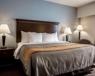 Comfort Inn & Suites Lumberton Central I-95 - Lumberton - 4