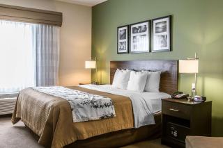 Sleep Inn & Suites Mount Olive North - Mount Olive - 4