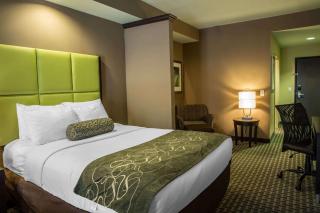 Comfort Suites New Bern near Cherry Point - New Bern - 3