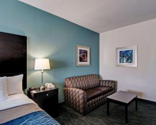 Comfort Inn Mount Airy - 3