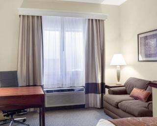 Comfort Inn Bismarck - 9