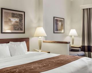 Comfort Inn Bismarck - 6