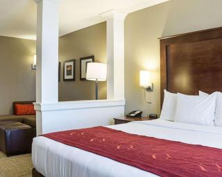 Comfort Suites Fargo Medical Center - Fargo - 5
