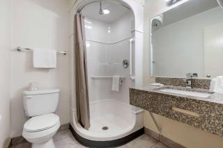 Rodeway Inn Winston Salem Route 52 - 2