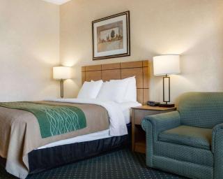 Comfort Inn Jamestown South - 1