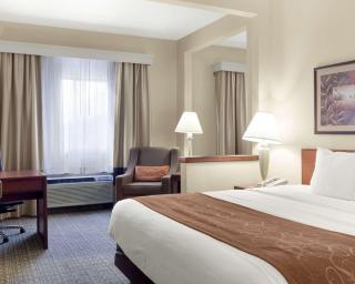 Comfort Inn Bismarck - 3