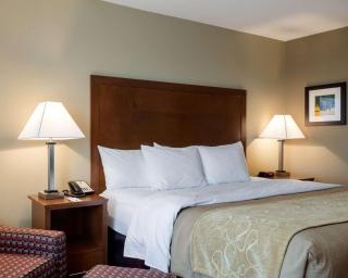 Comfort Inn & Suites Watford City - Watford City - 2
