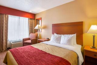 Quality Inn York - 4