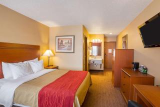 Quality Inn York - 2