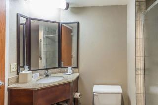 Comfort Inn SW Omaha I-80 - Omaha - 2