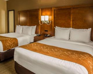 Quality Suites NYC Gateway - North Bergen - 9
