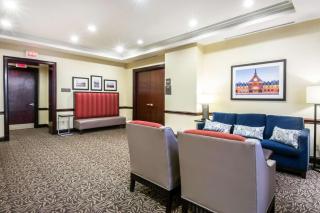 Comfort Suites at Woodbridge - Avenel - 5
