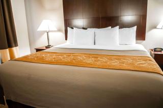 Comfort Suites Albuquerque-North Journal Center - Albuquerque - 6