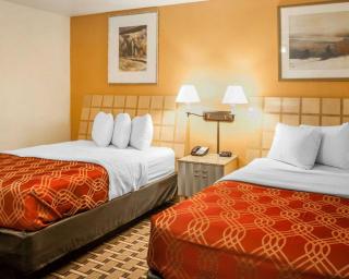 Econo Lodge Clovis - Clovis - 5