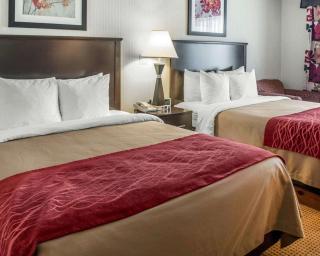 Quality Inn & Suites Farmington - Farmington - 2