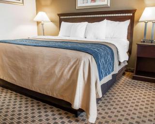 Comfort Inn & Suites Lordsburg I-10 - Lordsburg - 6