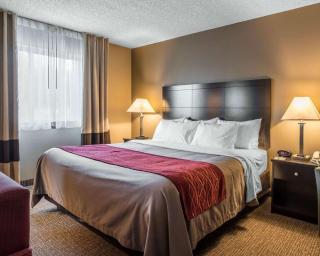 Comfort Inn - Saugerties - 3