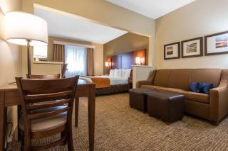 Comfort Suites Rochester Henrietta University Area - 9