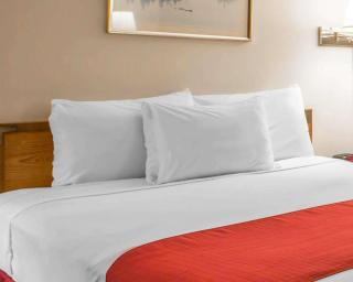 Rodeway Inn - Lake Placid - 4