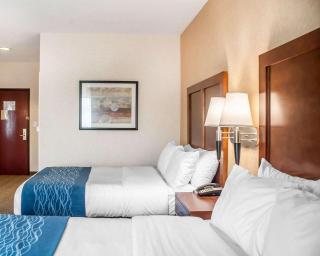 Comfort Inn & Suites - Hamburg - 9