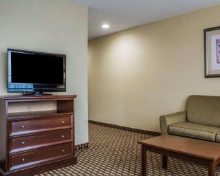 Comfort Inn & Suites Farmington - Victor - 9