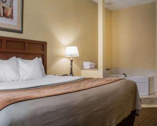 Comfort Inn & Suites Farmington - Victor - 6