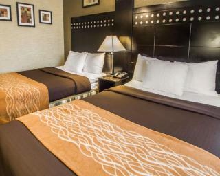 Rodeway Inn Bronx Zoo - Le Bronx - 1