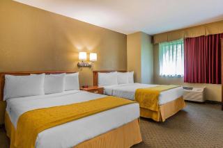Quality Inn Hyde Park - Poughkeepsie North - Hyde Park - 3