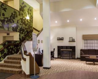 Sleep Inn & Suites Buffalo Airport - Cheektowaga - 9