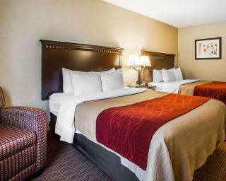 Quality Inn Greenville North - Greenville - 5