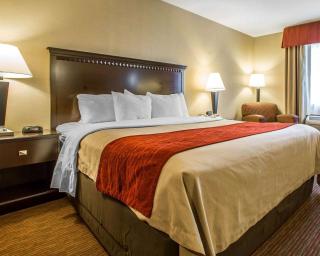 Quality Inn Greenville North - Greenville - 6