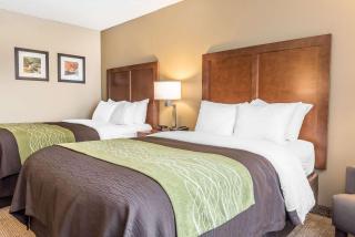 Comfort Inn & Suites Piqua-Near Troy-I75 - Piqua - 3