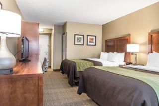 Comfort Inn & Suites Piqua-Near Troy-I75 - Piqua - 1