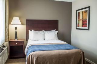 Comfort Inn Sandusky - Sandusky - 1