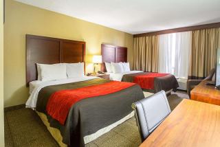 Comfort Inn Downtown - Cleveland - 7