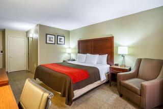 Comfort Inn Downtown - Cleveland - 9
