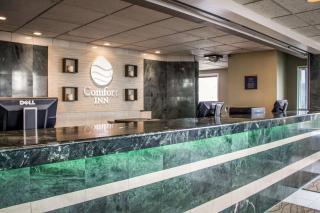 Comfort Inn Sandusky - Sandusky - 7