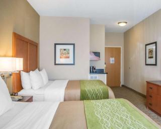 Comfort Inn & Suites West Chester - North Cincinnati - West Chester - 3