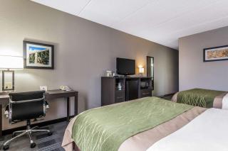 Comfort Inn Cleveland Airport - Middleburg Heights - 7