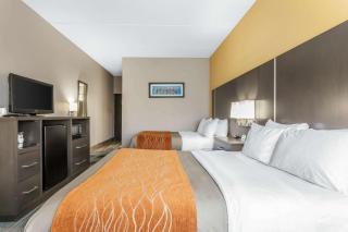 Comfort Inn Cleveland Airport - Middleburg Heights - 2