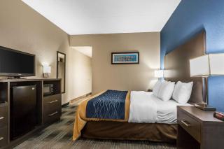 Comfort Inn Cleveland Airport - Middleburg Heights - 4