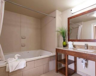 Comfort Suites Central-I-44 - Tulsa - 5