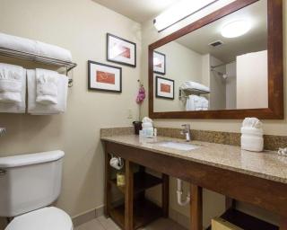 Comfort Suites Central-I-44 - Tulsa - 8